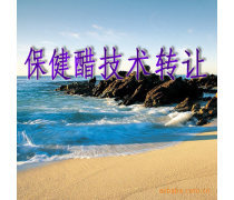 產(chǎn)品庫技術轉(zhuǎn)讓 驅(qū)動創(chuàng)新與價值優(yōu)化的戰(zhàn)略路徑